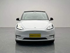 Tesla Model Y Long Range All-Wheel Drive - ფოტო 2