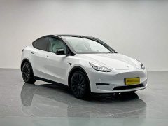 Tesla Model Y Long Range All-Wheel Drive - ფოტო 8