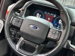 Ford F-150 Raptor 3.5T Raptor - ფოტო 20