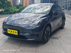 Tesla Model Y Rear-Wheel Drive - ფოტო 1