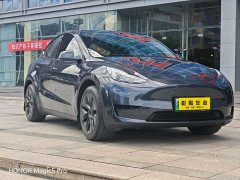 Tesla Model Y Rear-Wheel Drive - ფოტო 3