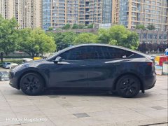 Tesla Model Y Rear-Wheel Drive - ფოტო 8