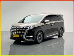 Denza BYD Denza D9 PIONEER Four-Seat Pioneer Edition - ფოტო 1
