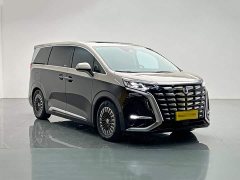 Denza BYD Denza D9 PIONEER Four-Seat Pioneer Edition - ფოტო 8