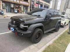 Tank 300 2.0T Gasoline Conqueror - ფოტო 1