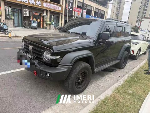2025 Tank 300 2.0T Gasoline Conqueror - ავტომობილი ჩინეთიდან