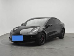 Tesla Model 3 Performance All-Wheel Drive 3D6 - ფოტო 1