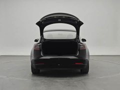 Tesla Model 3 Performance All-Wheel Drive 3D6 - ფოტო 13