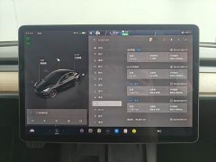 Tesla Model 3 Performance All-Wheel Drive 3D6 - ფოტო 6