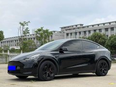 Tesla Model Y Rear-Wheel Drive - ფოტო 1