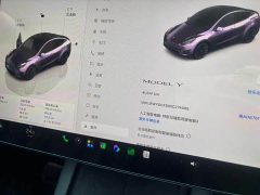Tesla Model Y Rear-Wheel Drive - ფოტო 10