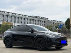 Tesla Model Y Rear-Wheel Drive - ფოტო 3