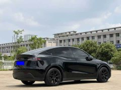 Tesla Model Y Rear-Wheel Drive - ფოტო 7
