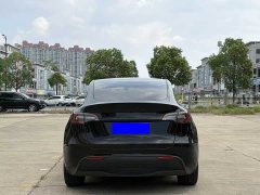 Tesla Model Y Rear-Wheel Drive - ფოტო 8