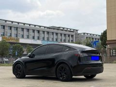 Tesla Model Y Rear-Wheel Drive - ფოტო 9
