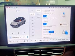 Li Auto L9 Max - ფოტო 12