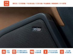 Lexus GX 2024 Peak Edition - ფოტო 13