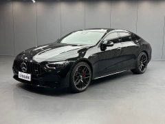 Mercedes-Benz AMG GT AMG GT 50 Four-Door Coupe China Special Edition - ფოტო 1