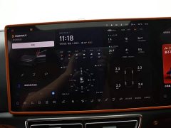 Li Auto L8 Max - ფოტო 9