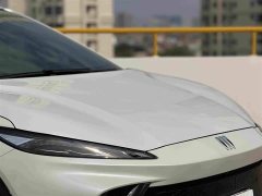 Buick E4 GS - ფოტო 10