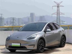 Tesla Model Y Standard Range RWD - ფოტო 1