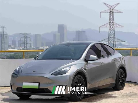 2021 Tesla Model Y Standard Range RWD - ავტომობილი ჩინეთიდან