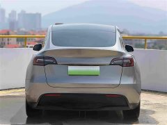 Tesla Model Y Standard Range RWD - ფოტო 5