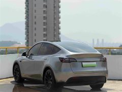 Tesla Model Y Standard Range RWD - ფოტო 6
