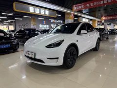 Tesla Model Y Rear-Wheel Drive - ფოტო 1