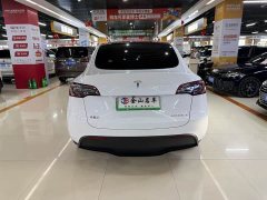 Tesla Model Y Rear-Wheel Drive - ფოტო 8