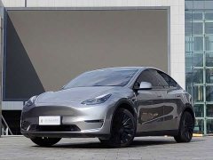 Tesla Model Y Long Range All-Wheel Drive 3D7 - ფოტო 1