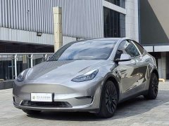 Tesla Model Y Long Range All-Wheel Drive 3D7 - ფოტო 2