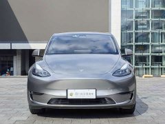 Tesla Model Y Long Range All-Wheel Drive 3D7 - ფოტო 3