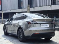 Tesla Model Y Long Range All-Wheel Drive 3D7 - ფოტო 5