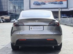Tesla Model Y Long Range All-Wheel Drive 3D7 - ფოტო 6