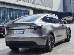 Tesla Model Y Long Range All-Wheel Drive 3D7 - ფოტო 7
