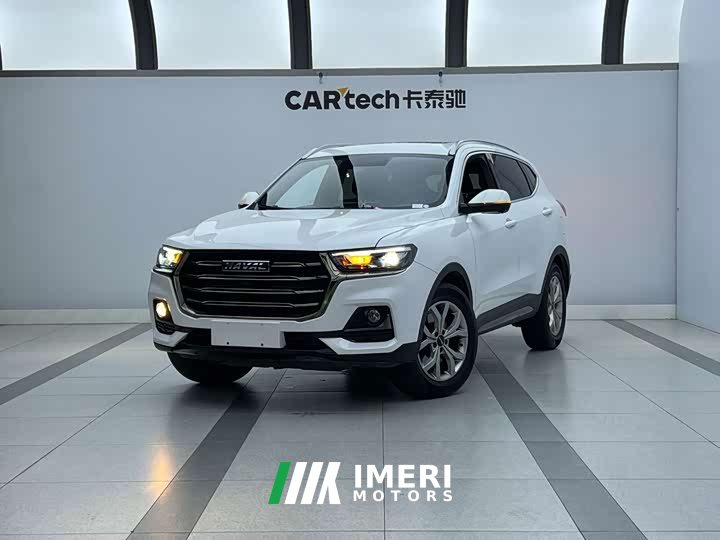 Haval H6 2021 National Trend 1.5T Automatic Champion Edition - ავტომობილი ჩინეთიდან