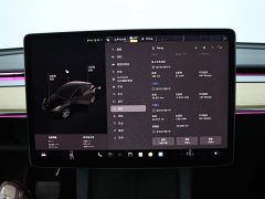 Tesla Model Y Rear-Wheel Drive - ფოტო 13