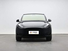 Tesla Model Y Rear-Wheel Drive - ფოტო 2