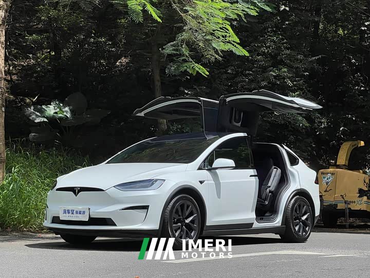 Tesla Model X Dual Motor All-Wheel Drive - ავტომობილი ჩინეთიდან