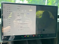 Tesla Model X Dual Motor All-Wheel Drive - ფოტო 16