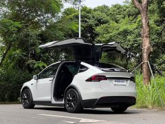 Tesla Model X Dual Motor All-Wheel Drive - ფოტო 3