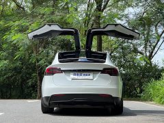 Tesla Model X Dual Motor All-Wheel Drive - ფოტო 5