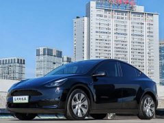 Tesla Model Y Long Range All-Wheel Drive - ფოტო 1
