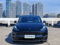 Tesla Model Y Long Range All-Wheel Drive - ფოტო 2