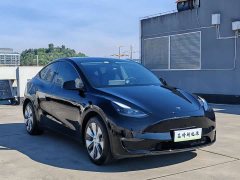 Tesla Model Y Long Range All-Wheel Drive - ფოტო 3