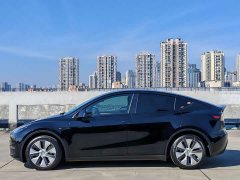 Tesla Model Y Long Range All-Wheel Drive - ფოტო 4