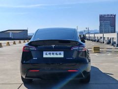Tesla Model Y Long Range All-Wheel Drive - ფოტო 6
