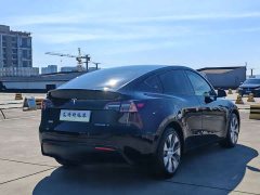 Tesla Model Y Long Range All-Wheel Drive - ფოტო 7