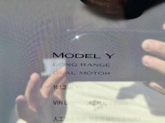 Tesla Model Y Long Range All-Wheel Drive - ფოტო 9